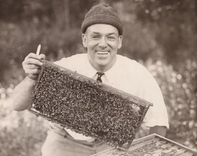 USA, Massachusetts, Cape Cod, Charles Bradford Hathaway, Bee Expert