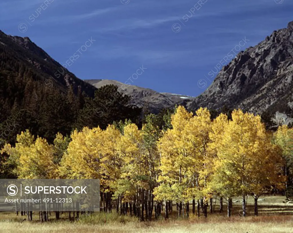 Horseshoe Park Rocky Mountain National Park Colorado USA