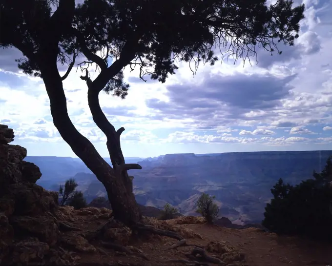 Grand Canyon