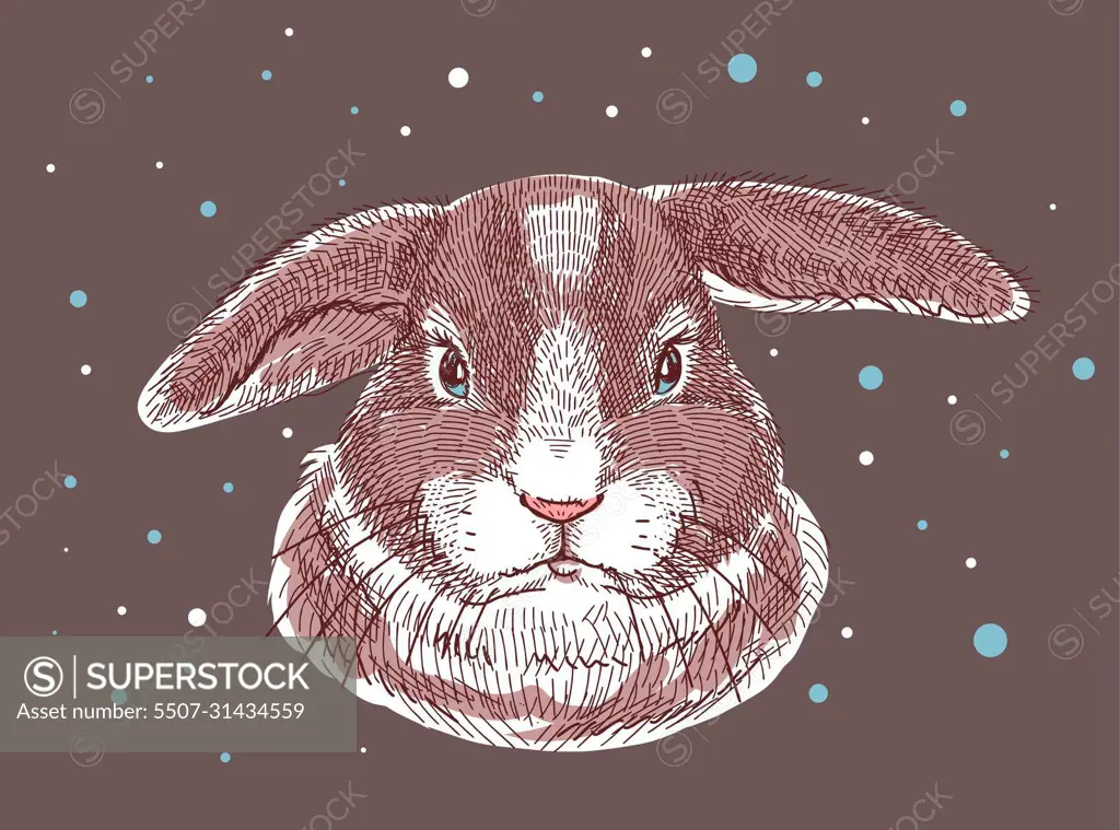 Color illustration, sketch drawn with markers. Home gray brown rabbit, head portrait. All elements of the illustration are isolated, it is easy to change colors and backgrounds.