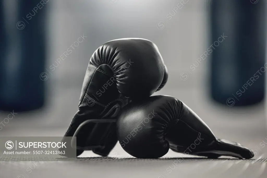 Exercise 2024 boxing gloves