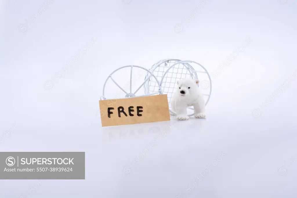 Polar bear cage open to freedom