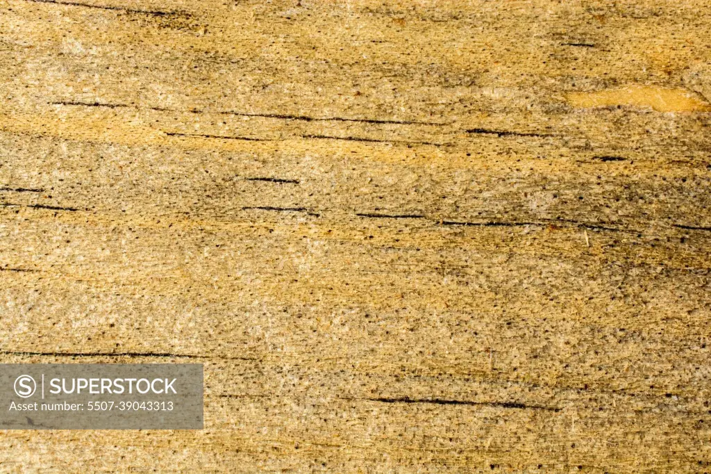 Wood texture with natural patterns