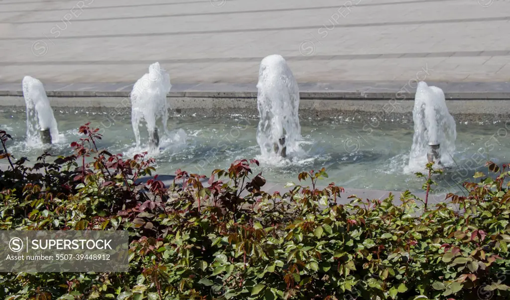 The fountains gushing sparkling water in a pool