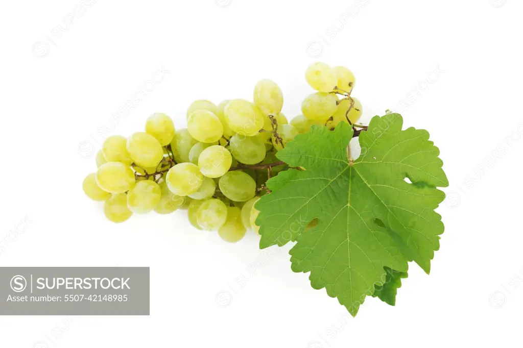 Grapes branch with leaves isolated on white background