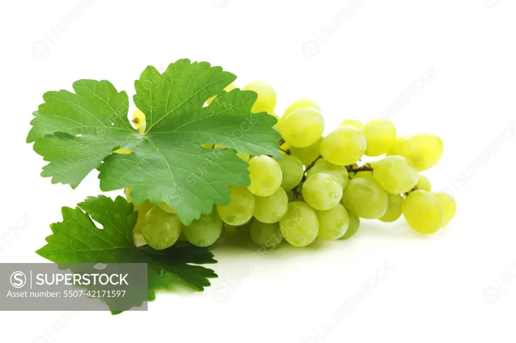 Grapes branch with leaves isolated on white background