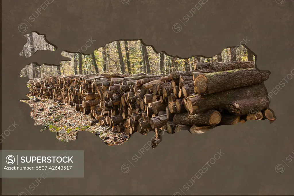 Roughly outlined map of Turkey with load of logs