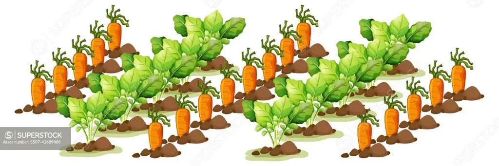 Little carrots in field farm isolated in cartoon style