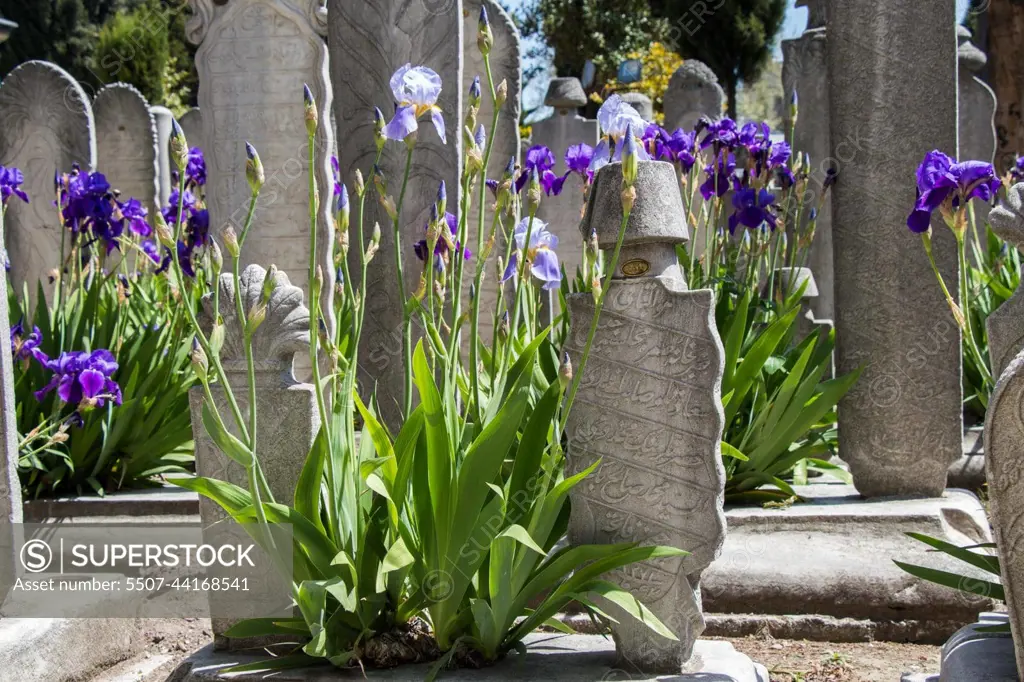 Old stones on the graves in Istanbul