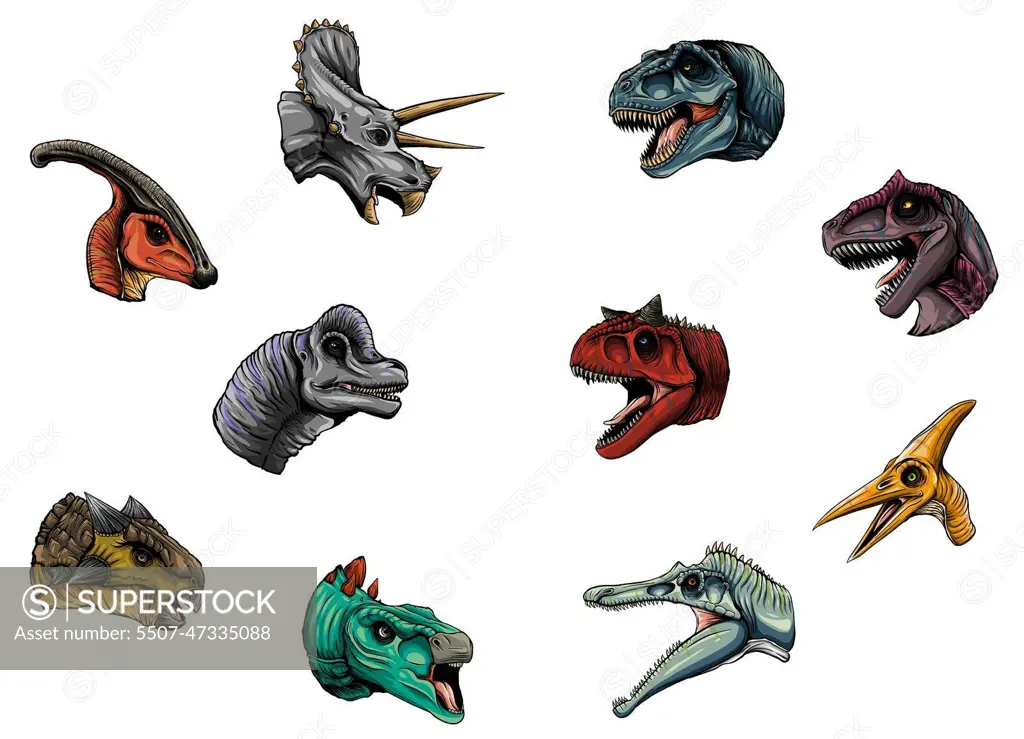 dinosaur head collection, with cute colors vector