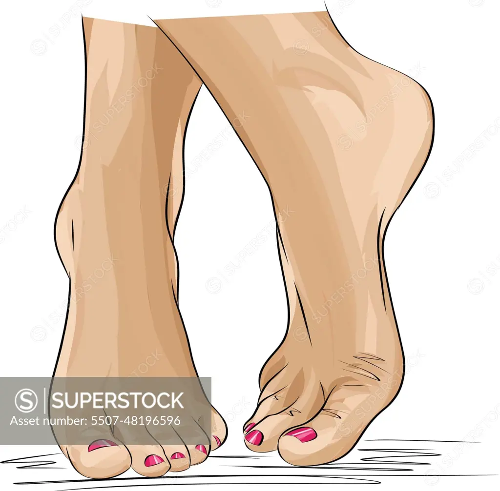 Beautiful female feet. Hand drawn of realistic human feet. Healthy foot. -  SuperStock