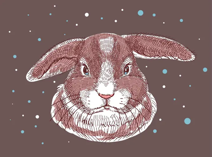 Color illustration, sketch drawn with markers. Home gray brown rabbit, head portrait. All elements of the illustration are isolated, it is easy to change colors and backgrounds.