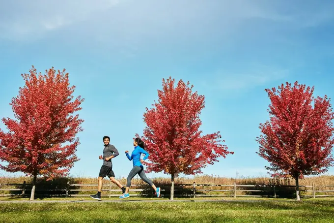 Enjoying the view and their healthy journey together. a sporty young couple exercising together outdoors.