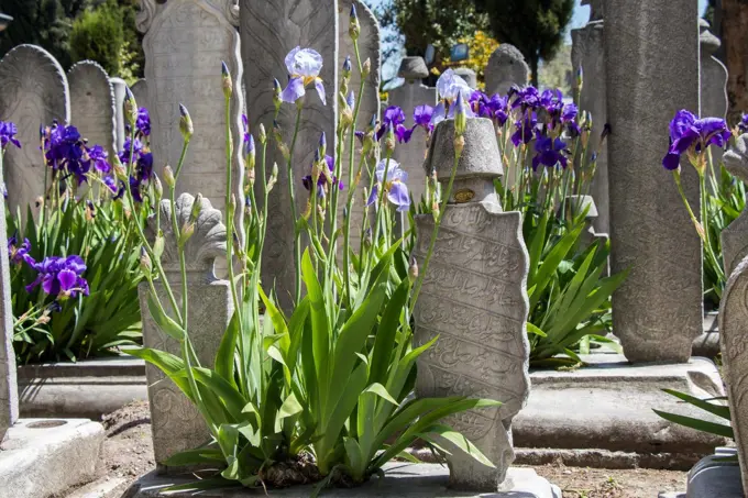 Old stones on the graves in Istanbul