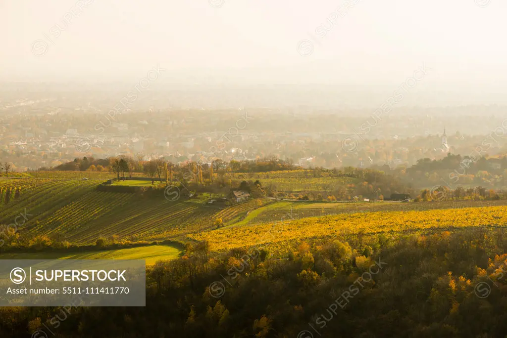 View to Vienna vineyards from mountain Leopoldsberg, Austria, Vienna, Danube City