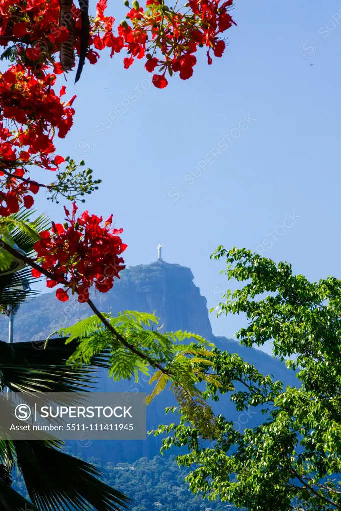 Rio de Janeiro, Brazil