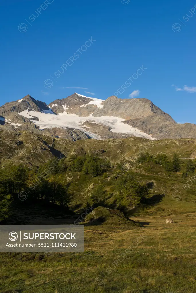 Bernina Pass, Graubuenden, Switzerland, Grisons