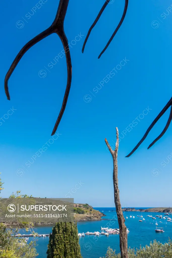 Olive Garden of artist Salvador Dali, Port Lligat, Cap de Creus, Costa Brava, Girona, Catalonia, Spain, Catalania, Portlligat