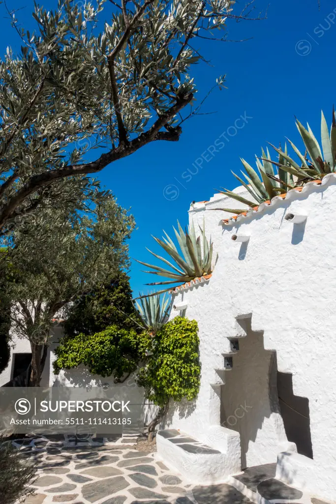 Olive Garden of artist Salvador Dali, Port Lligat, Cap de Creus, Costa Brava, Girona, Catalonia, Spain, Catalania, Portlligat