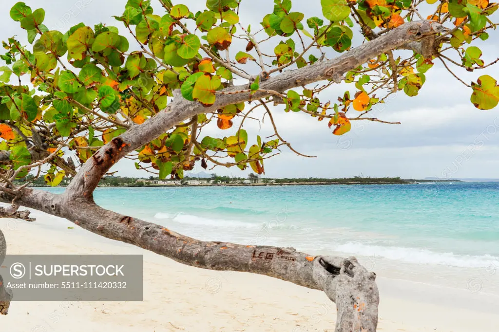 Cuba, Playa Guardalavaca, Holguin, Guardalavaca