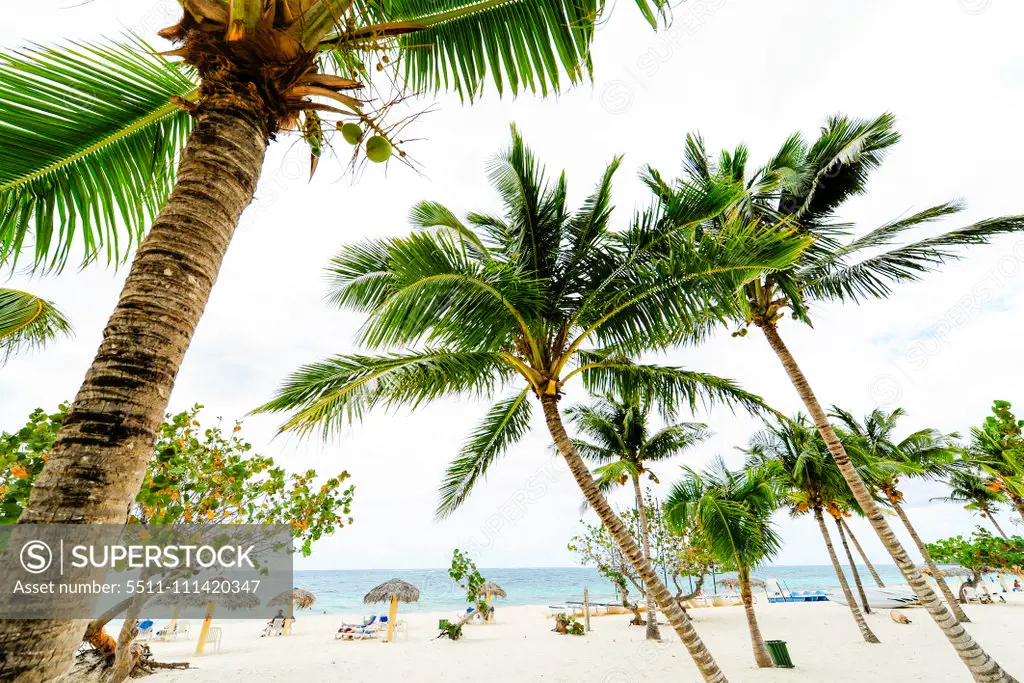 Cuba, Playa Guardalavaca, Holguin, Guardalavaca