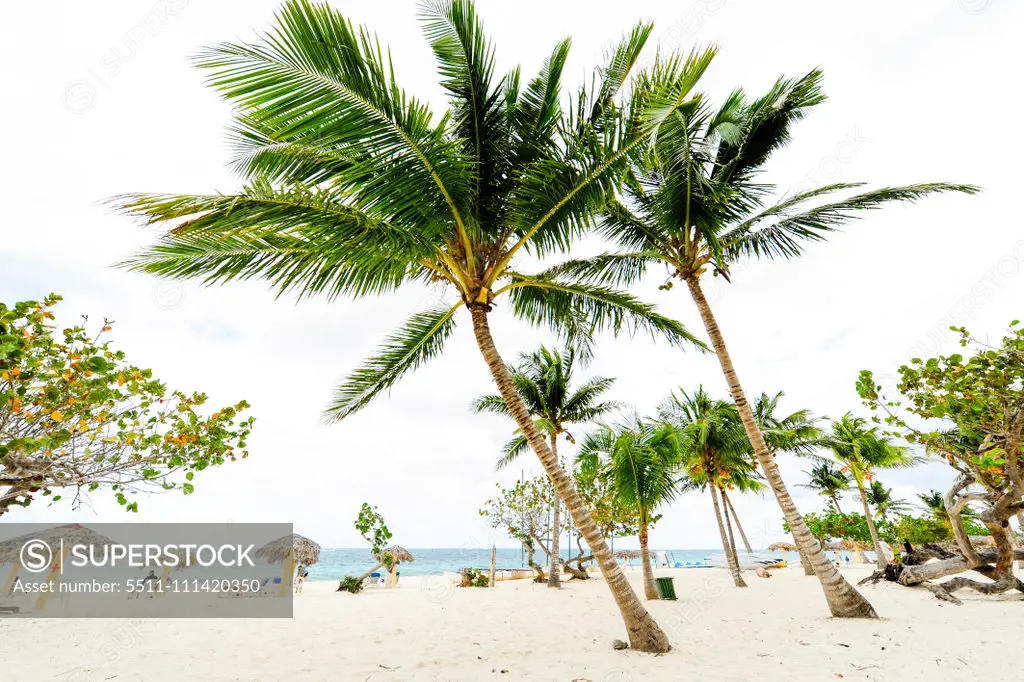 Cuba, Playa Guardalavaca, Holguin, Guardalavaca