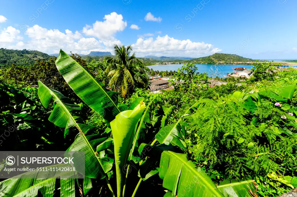 Cuba, Guantanamo, Baracoa, Mountain Yunque