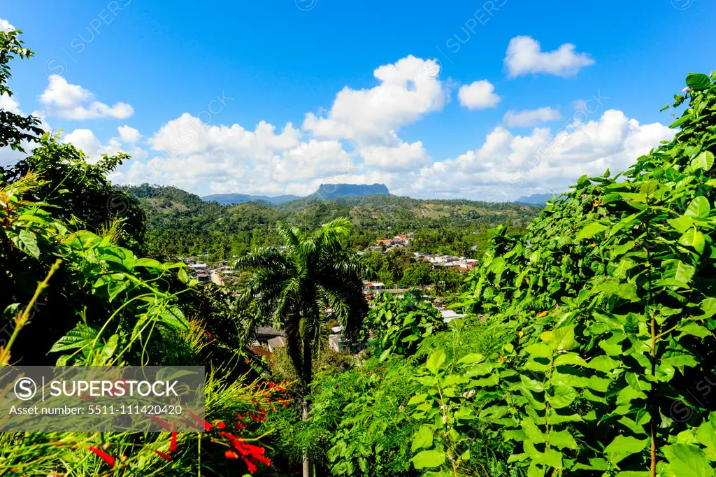 Cuba, Guantanamo, Baracoa, Mountain Yunque