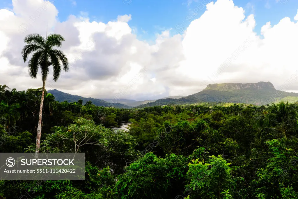 Cuba, Guantanamo, Baracoa, Mountain Yunque