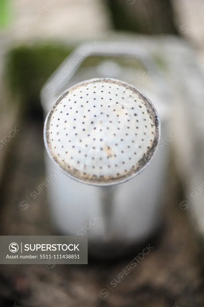 Water can, Austria, Burgenland, Northern Burgenland, Jois