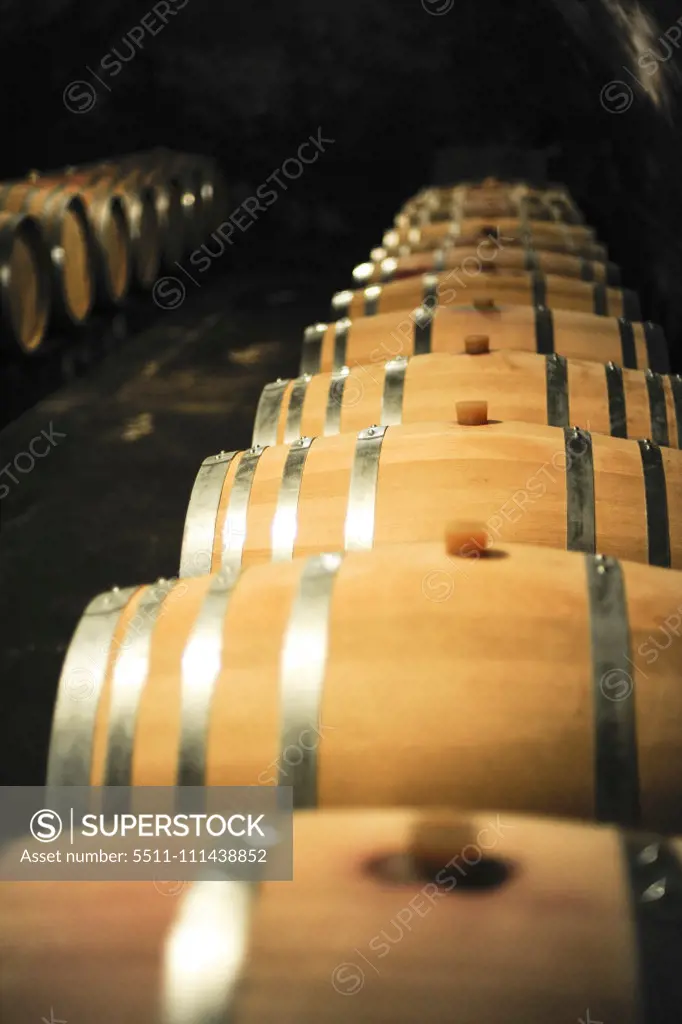 Wine casks, Austria, Burgenland, Northern Burgenland, Jois