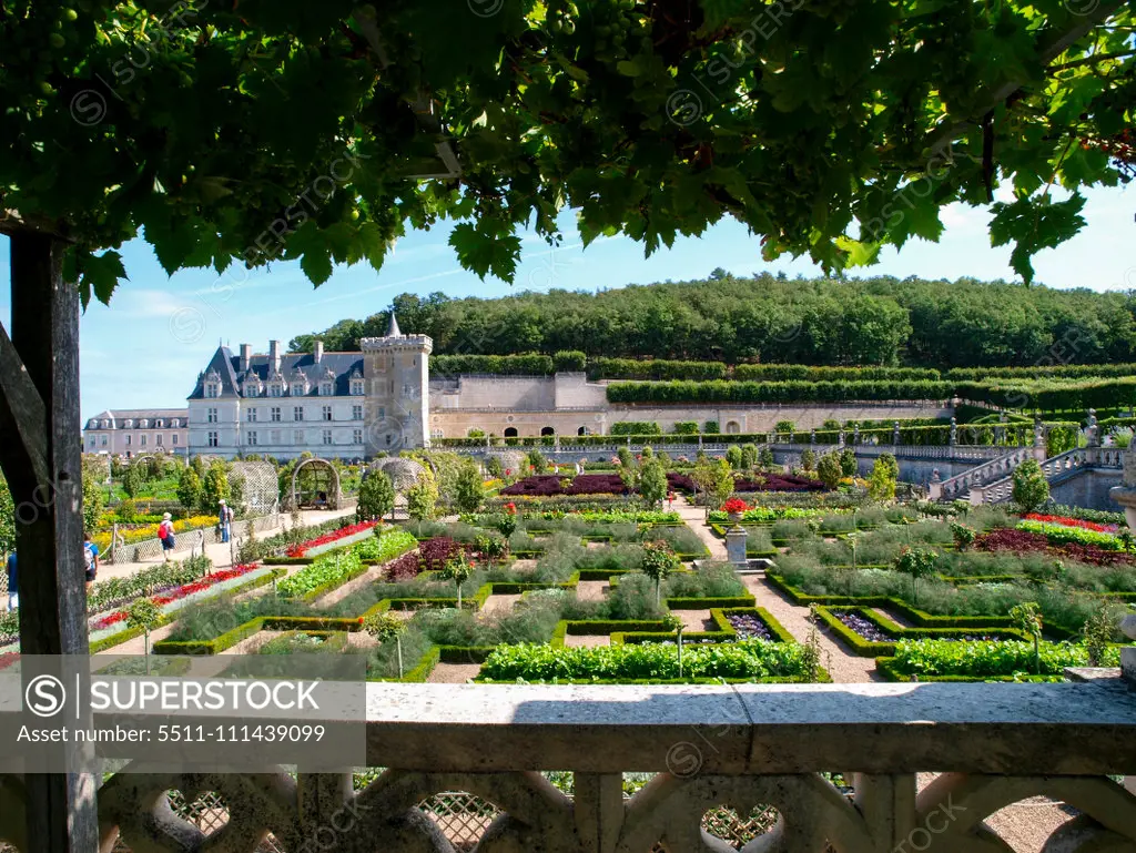 Chateau et Jardins de Villandry, Indre-et-Loire, historical garden, France, Loire Valley, Villandry