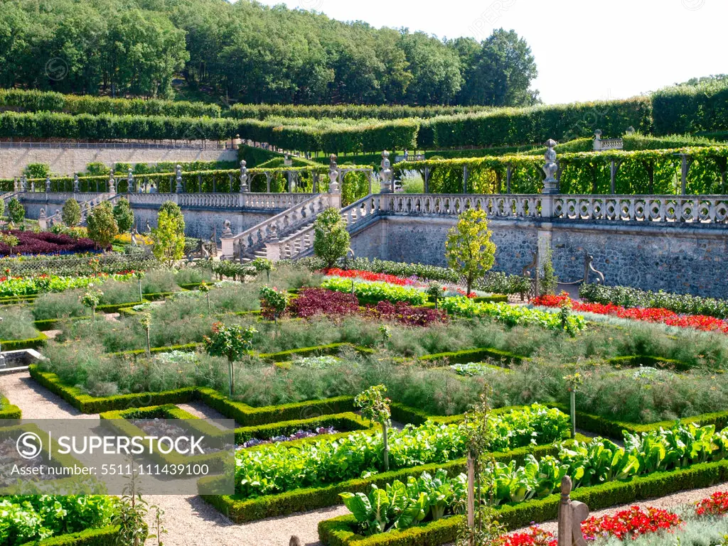 Chateau et Jardins de Villandry, Indre-et-Loire, historical garden, France, Loire Valley, Villandry