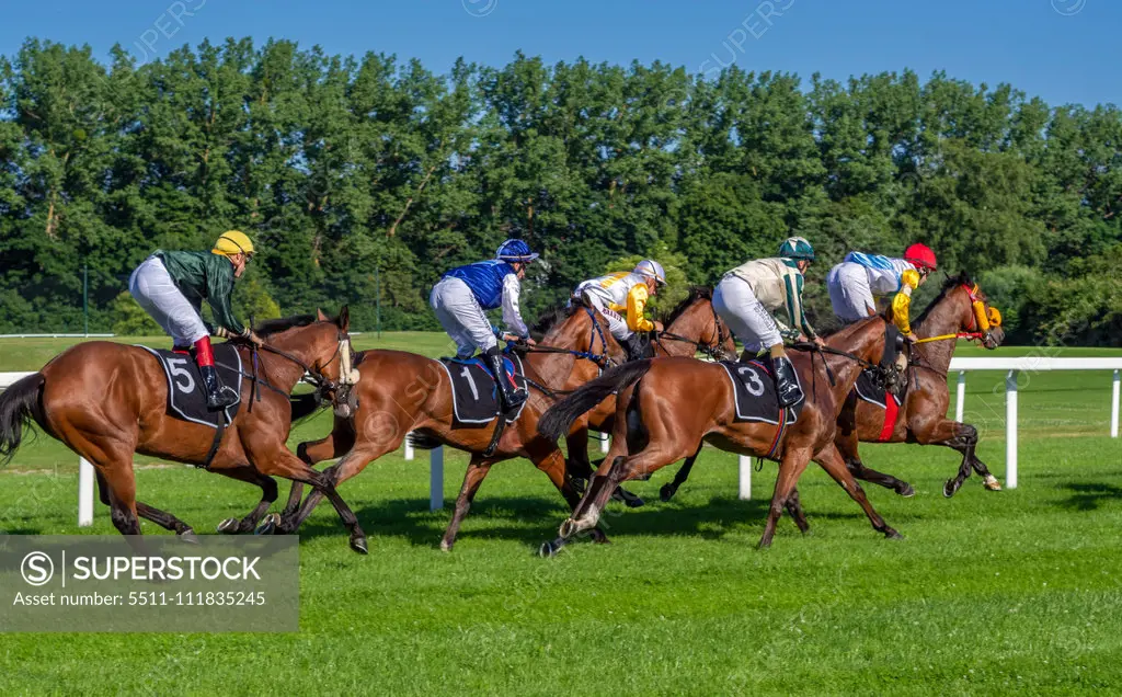 Horse racing in Munich Daglfing, Bavaria, Germany