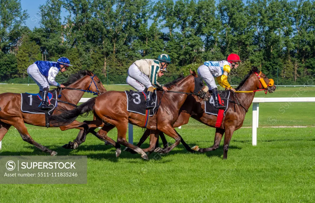 Horse racing in Munich Daglfing, Bavaria, Germany