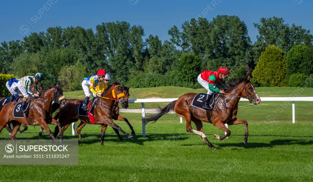 Horse racing in Munich Daglfing, Bavaria, Germany