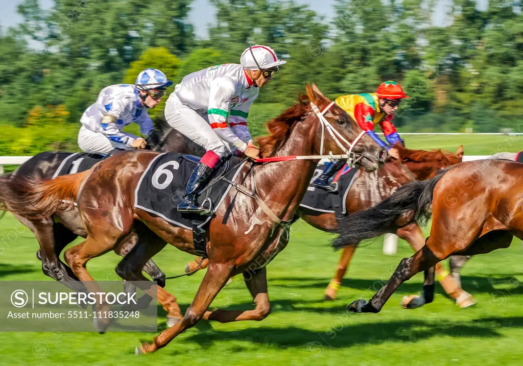 Horse racing in Munich Daglfing, Bavaria, Germany