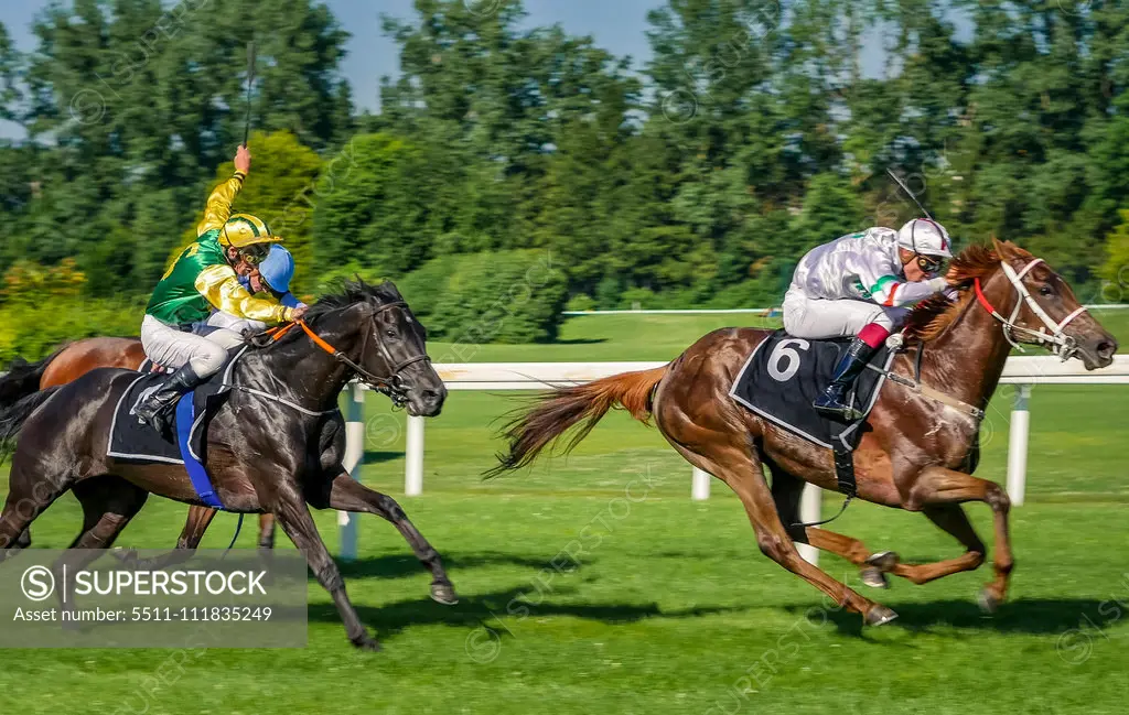 Horse racing in Munich Daglfing, Bavaria, Germany