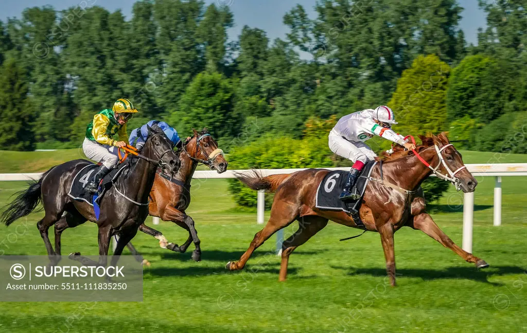 Horse racing in Munich Daglfing, Bavaria, Germany