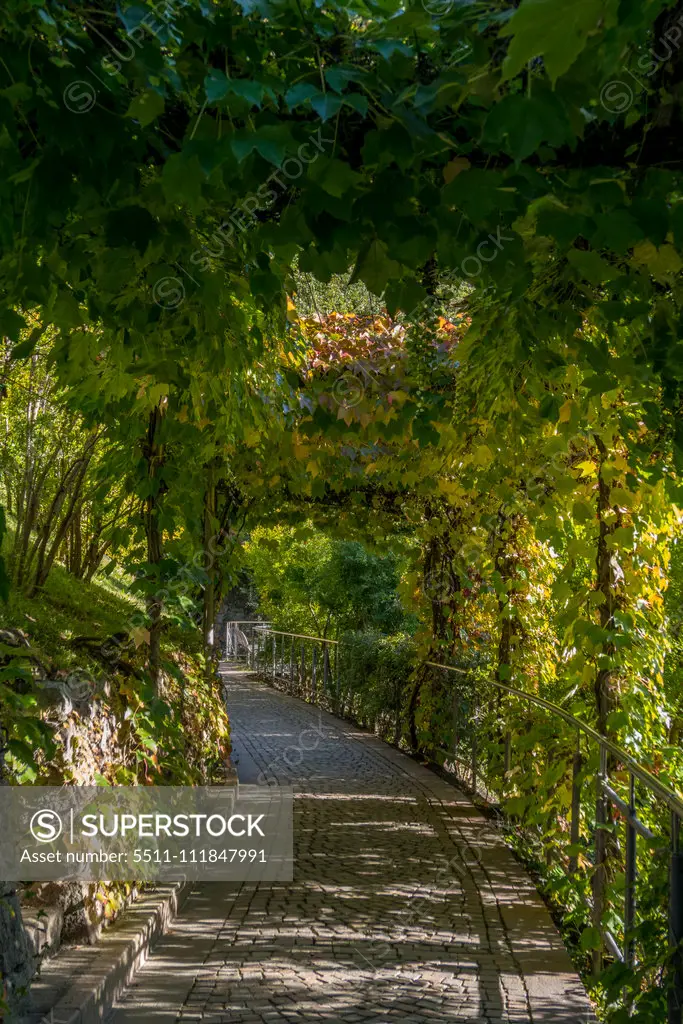 Die Gärten von Schloss Trauttmansdorff, Meran, Südtirol, Italien, Europa;Meranoís Gardens of Trauttmansdorff Castle