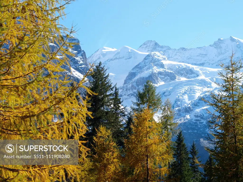 Stilfser Joch, South Tyrol, Italy;Stilfser Joch, South Tyrol, Italy