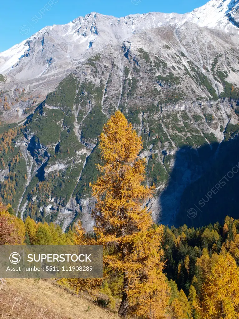 Stilfser Joch, South Tyrol, Italy;Stilfser Joch, South Tyrol, Italy