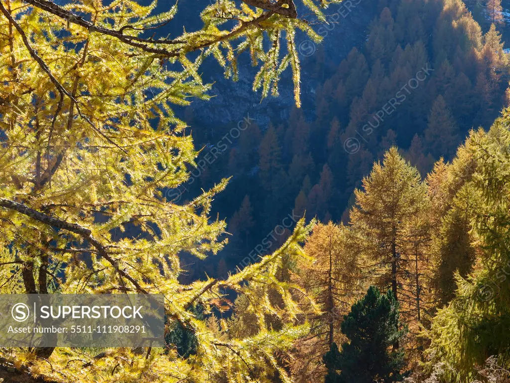 Stilfser Joch, South Tyrol, Italy;Stilfser Joch, South Tyrol, Italy