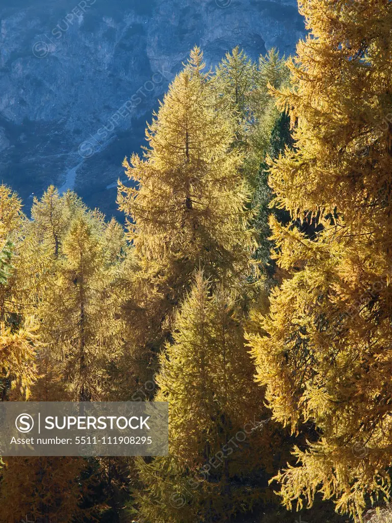 Stilfser Joch, South Tyrol, Italy;Stilfser Joch, South Tyrol, Italy