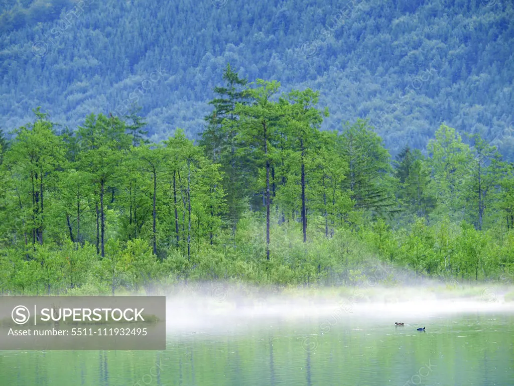 Lake Almsee, Austria, Upper Austria, lakes