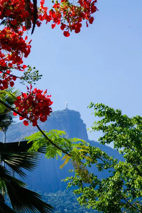 Rio de Janeiro, Brazil