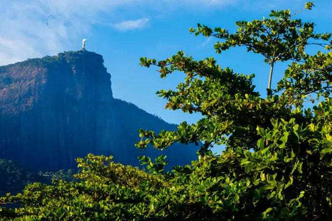 Rio de Janeiro, Lagoa Rodrigo de Freitas, Brazil