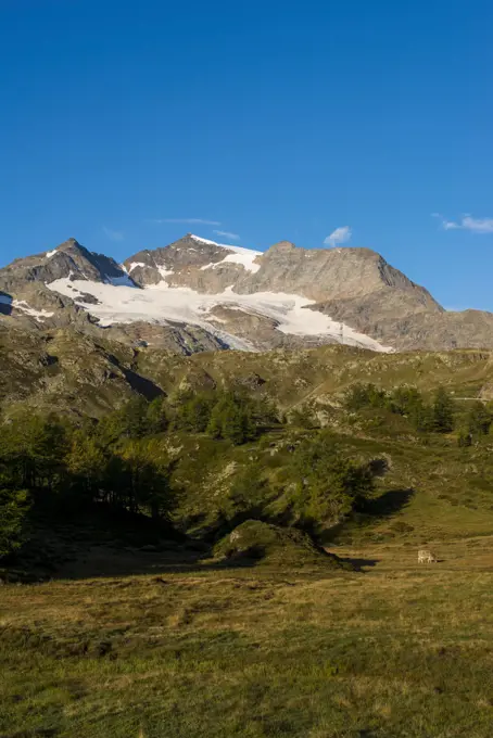 Bernina Pass, Graubuenden, Switzerland, Grisons