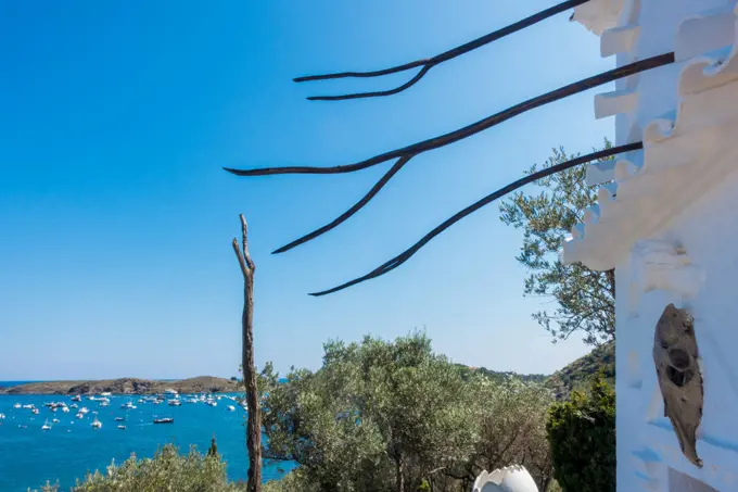 Olive Garden of artist Salvador Dali, Port Lligat, Cap de Creus, Costa Brava, Girona, Catalonia, Spain, Catalania, Portlligat