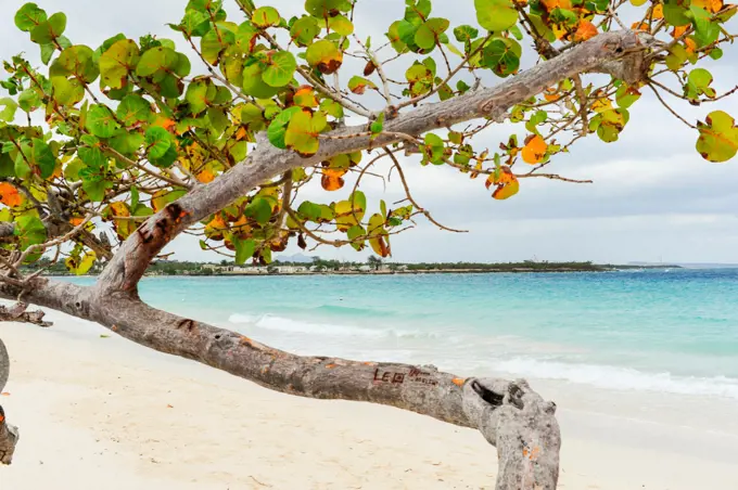 Cuba, Playa Guardalavaca, Holguin, Guardalavaca